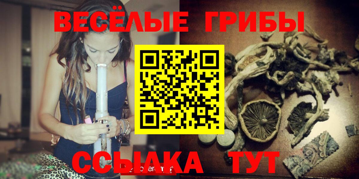 Мичуринск  Псилоцибиновые грибы GOLDEN TEACHER  Вход с VPN 
